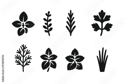 Culinary Herb Icons. Solid, filled icon set of culinary herbs: basil, thyme, rosemary, parsley, dill, oregano, mint, chives. Solid, filled icons in only black