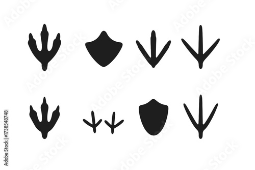 Bird Tracks Icons. Solid, filled icon set of bird tracks: eagle claw print, duck footprint, chicken tracks, crane foot print, owl claw mark, pigeon tracks,