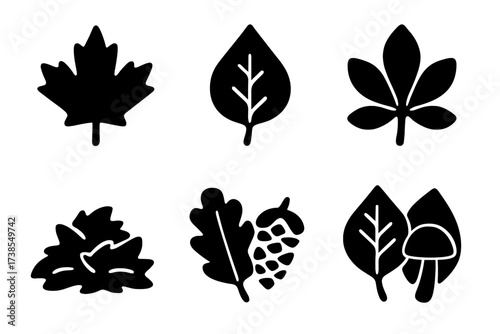 Autumn Leaf Icon Grid. Solid, filled icon set of autumn leaves and nature: red maple leaf, brown oak leaf, yellow birch leaf, orange chestnut leaf, fallen
