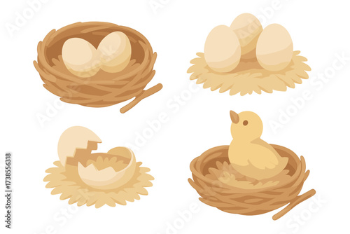 Eggs and Hatchling. Isometric vector illustration set nest twig egg hatchling: rounded twig construction, pale smooth eggs,