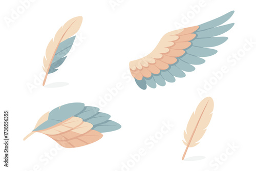 Feather Flight Illustration. Isometric vector illustration set feather flight wing molt: falling feather in molt, extended wing