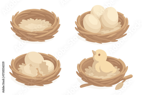 Eggs and Hatchling. Isometric vector illustration set nest twig egg hatchling: rounded twig construction, pale smooth eggs,