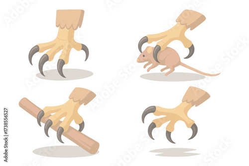 Eagle Talon Capture. Isometric vector illustration set talons grip prey capture: eagle talons extended, sharp curved claws, prey