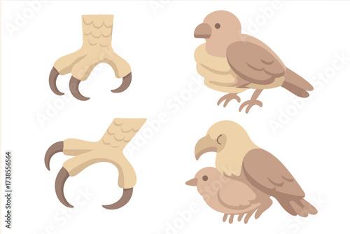 Eagle's Talon Grip. Isometric vector illustration set talons grip prey capture: eagle claw close-up, prey bird caught, talons