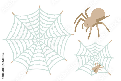 Intricate Spider Web. Isometric vector illustration set spider web silk trap: intricate orb web, spider in hunting pose, radial