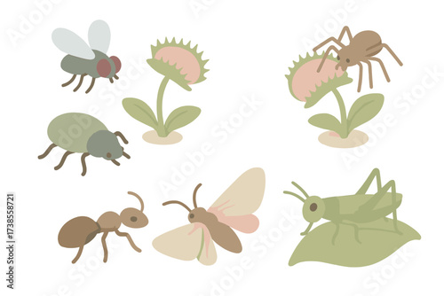 Insects Near Flytrap. Isometric vector illustration set Insects for flytrap: fly near trap, beetle crawling close, ant approaching
