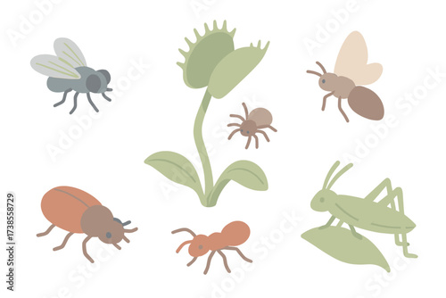 Insects Near Flytrap. Isometric vector illustration set Insects for flytrap: fly near trap, beetle crawling close, ant approaching