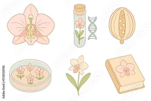 Orchid Research Illustrations. Isometric vector illustration set Orchid scientific study: orchid cross-section diagram, orchid DNA