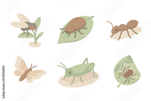 Insect Prey Isometric Icons. Isometric vector illustration set Insect prey examples: fly near plant, beetle on leaf, ant crawling