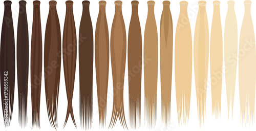 Vector art of hair color chart showing different shades of brown and blonde