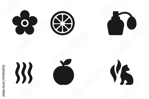 Fragrance Icons Grid. Solid, filled icon set of fragrance types: floral scent, citrus scent, woody scent, oriental scent, fresh scent, fruity scent, spicy