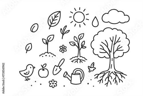 Tree Growth Doodles. Hand-drawn doodle illustration Tree growth stages seed, sprout, sapling, tree, leaf, branch, root, sun, droplet, cloud, soil, bird, apple,