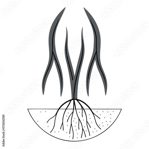Plant with Visible Roots in Soil. Growth, Nurture, Ecology, and Sustainable Development Concept.