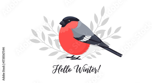 A Majestic Bullfinch Perched Amongst Delicate Winter Branches Wishing a Warm Hello to the Season