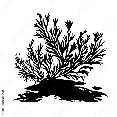 Vector bush plant silhouette nature foliage illustration