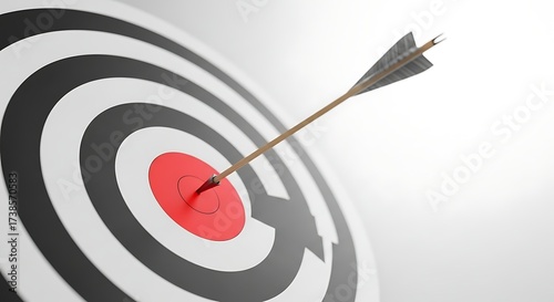 An arrow hits the bullseye of a target with black and white rings and a red center on a white background