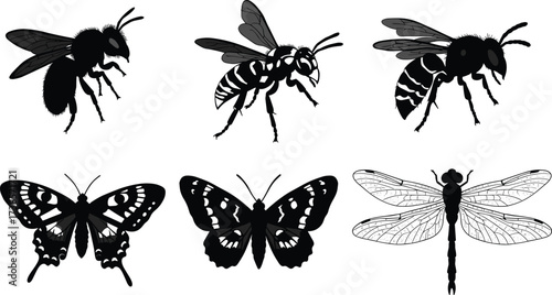 Collection of detailed black and white silhouettes of flying insects, including bees, wasps, butterflies, and a dragonfly, on a white background