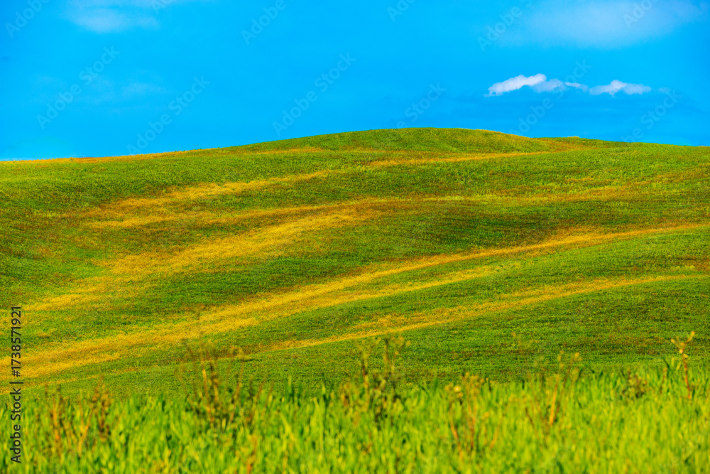 Fototapeta premium Amazing Tuscany panoramic landscape with green rolling hills with trees in spring, Italy.
