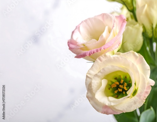 Closeup of Delicate Pastel Flowers.