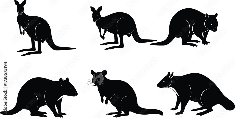 Fototapeta premium Australian animal silhouettes set, collection of vector illustrations of different wild animals in black color, on white background, isolated, for design
