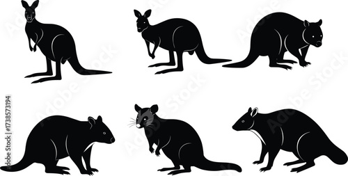 Australian animal silhouettes set, collection of vector illustrations of different wild animals in black color, on white background, isolated, for design