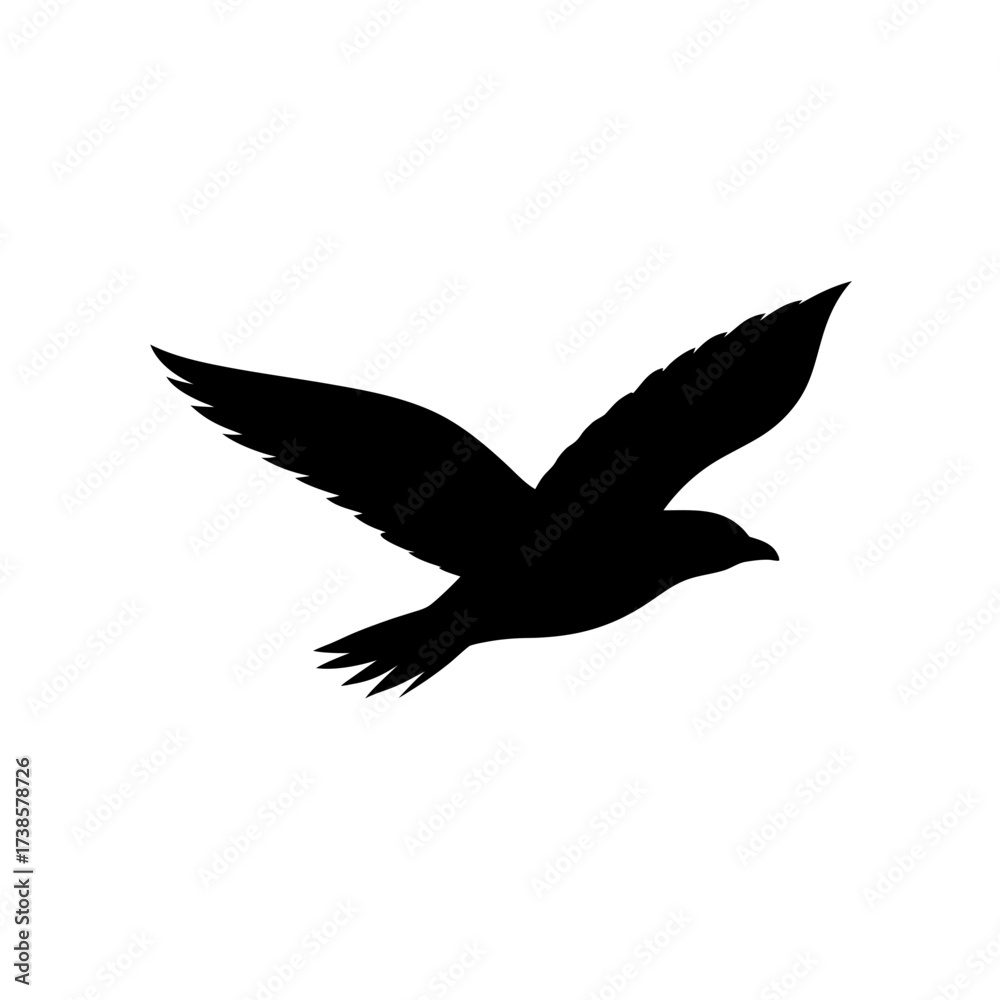 Fototapeta premium silhouette vector of a flying crow 
