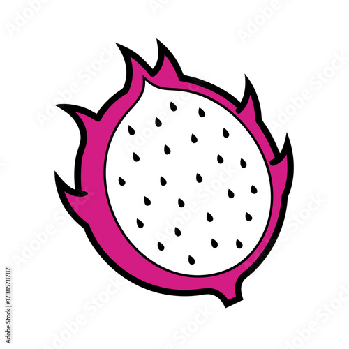 dragon fruit vector illustration