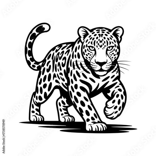 Majestic Jaguar Stalking Forward
