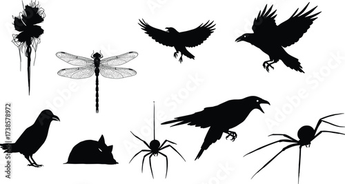 Crow silhouette, raven flying illustration, black bird design, spider vector, dragonfly artwork, animal silhouette, dark gothic style