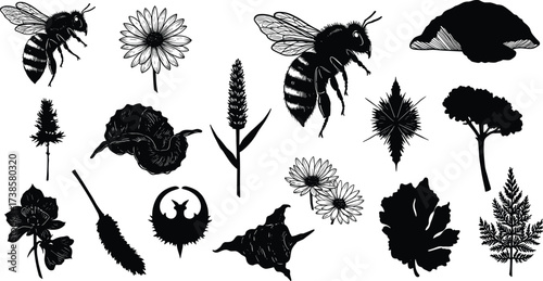 Bee and flower silhouette set, snail and shell vector, mushroom leaf tree illustration, natural insect plant collection