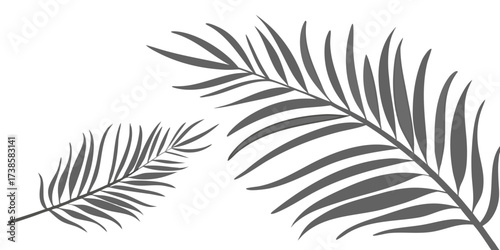 minimalist graphic of two dark gray stylized palm fronds isolated on a white background