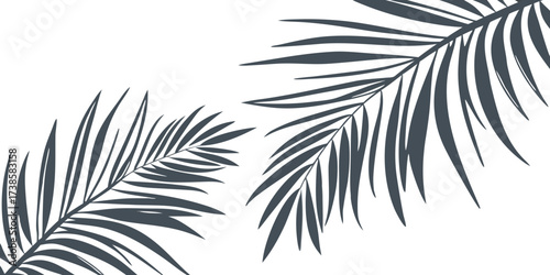 minimalist graphic of two dark stylized palm fronds with subtle shadows isolated  on a white background 