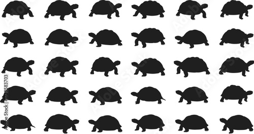 Tortoise silhouette vector set, land turtle graphic collection, reptile animal wildlife black illustration design