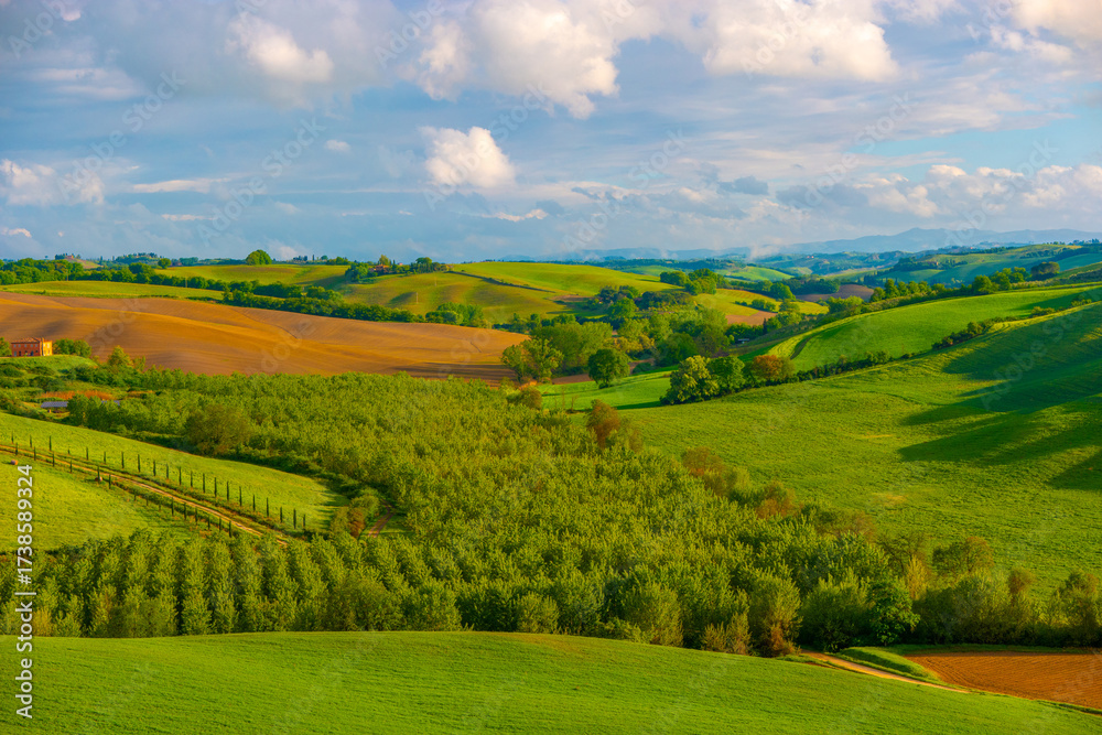 Fototapeta premium Amazing Tuscany panoramic landscape with green rolling hills with trees in spring, Italy.