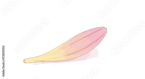 Delicate Petal: This image captures the soft beauty of a single petal, its subtle gradients of pink and yellow, casting a gentle shadow, embodying purity and the transient nature of beauty. 
