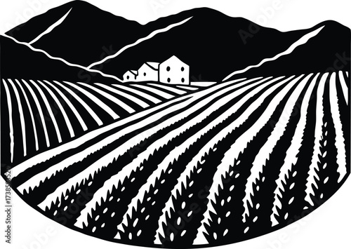Lavender Field With Rolling Hills Silhouette | Fragrant Plant Vector Design