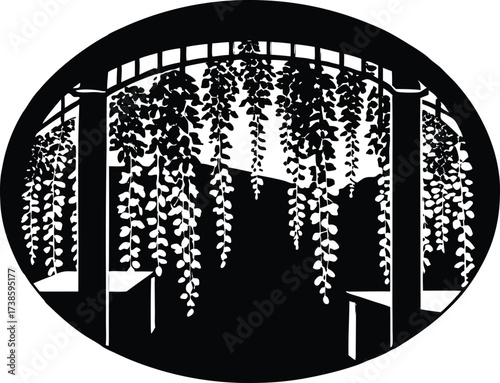 Wisteria Hanging In Courtyard Silhouette | Decorative Plant Vector Design