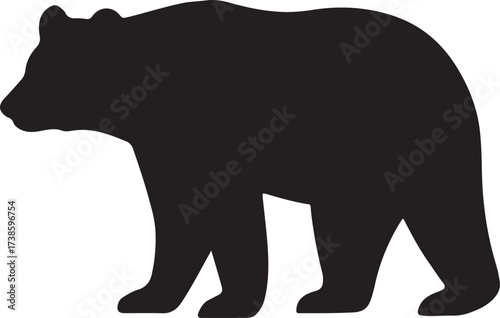 American black bear