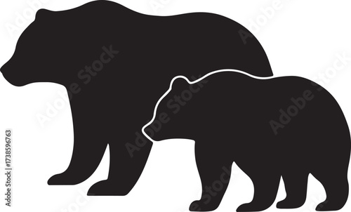 Bears