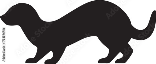 Black-footed ferret
