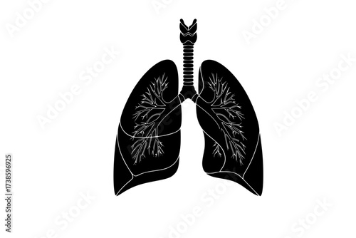 Black Vector Silhouette: Human Lungs or Respiratory System Abstract	