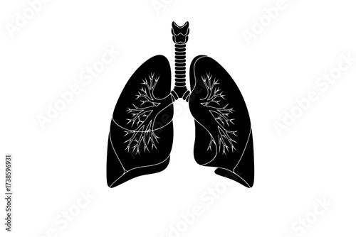 Black Vector Silhouette: Human Lungs or Respiratory System Abstract	