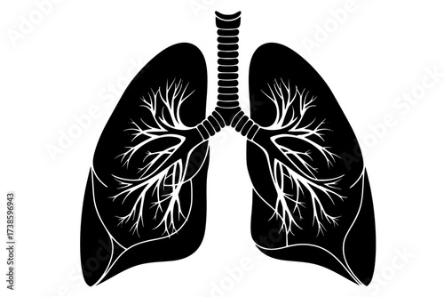 Black Vector Silhouette: Human Lungs or Respiratory System Abstract	