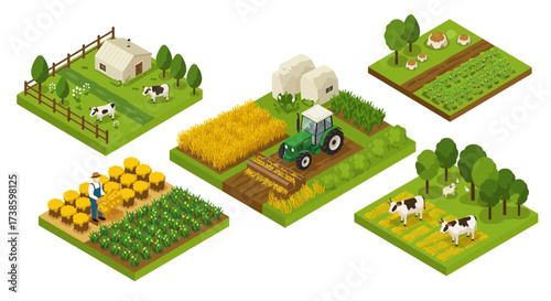 Isometric farm scenes with crops, animals, and machinery in modern agriculture