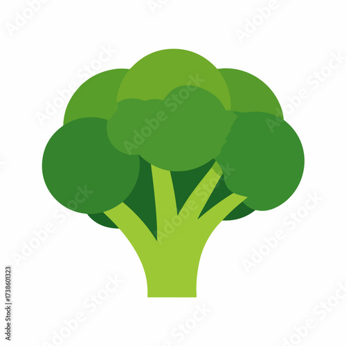 Broccoli flat icon in vector style