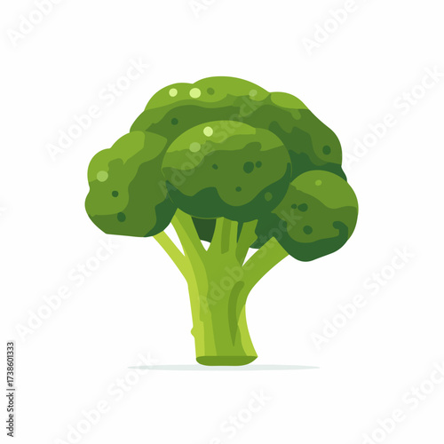 Broccoli vegetable flat vector icon design