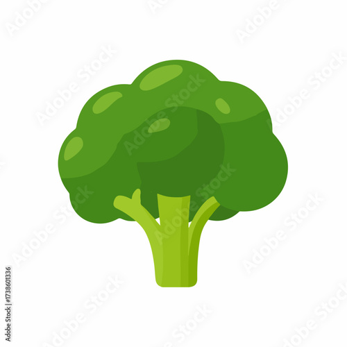 Broccoli vegetable flat vector graphic design