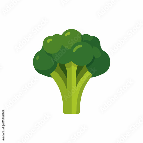 Healthy broccoli flat vector icon design