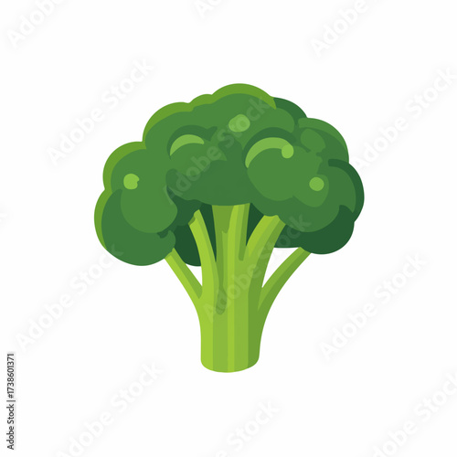 Broccoli vegetable flat vector icon illustration