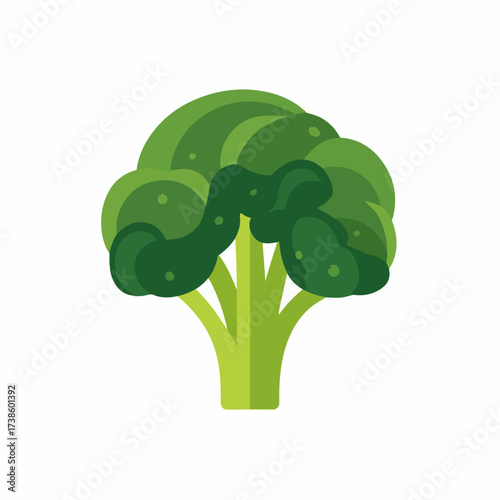 Minimalistic Broccoli Icon in Thin Style